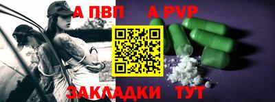 шишки Лесосибирск