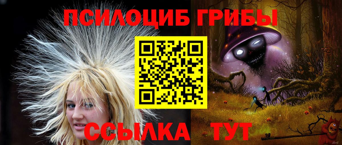 Псилоцибиновые грибы ЛСД Шебекино