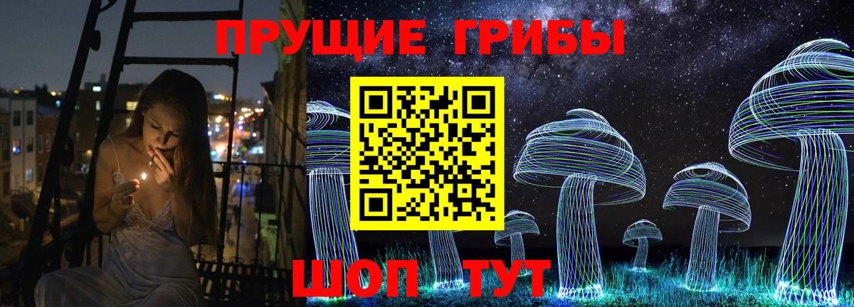 Псилоцибиновые грибы прущие грибы  магазин продажи   Шебекино  Вход с VPN  Галлюциногенные грибы Magic Shrooms 